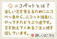 ニコペットとは？