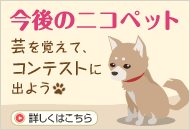 今後のニコペット