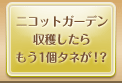 ニコットガーデン収穫したらもう1個タネが!?