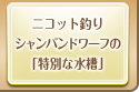 ニコット釣りシャンパンドワーフの「特別な水槽」