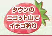 タウンのニコット山でイチゴ狩り