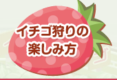 イチゴ狩りの楽しみ方