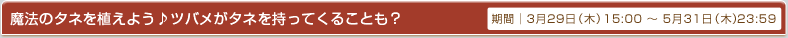 期間│4月5日(木)15:00～5月10日(木)23:59