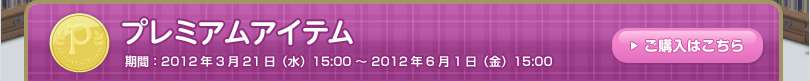 期間：2012年3月21日（水）15:00 ～ 2012年6月1日（金）15:00