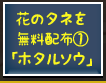 花のタネを無料配布①「ホタルソウ」