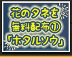 花のタネを無料配布①「ホタルソウ」