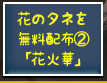 花のタネを無料配布②「花火華」