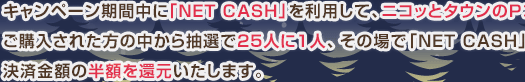 決済金額の半額を還元いたします。