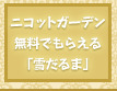 無料でもらえる！お庭で育てる「雪だるま」