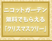 無料でもらえる！お庭で育てる「クリスマスツリー」