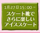 スケート靴でさらに楽しいアイススケート