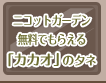 無料でもらえる！お庭で育てる「カカオ」のタネ