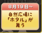 自然広場に「ホタル」が舞う