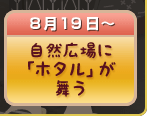 自然広場に「ホタル」が舞う