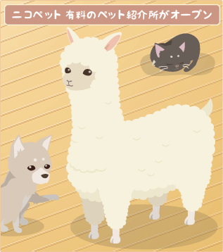 ニコペット