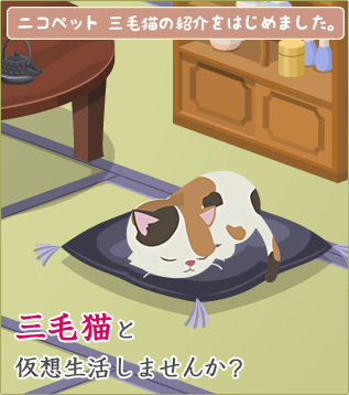 ニコペット