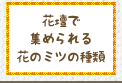 花壇で集められる花のミツの種類