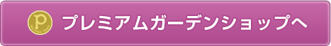 タネを買いに行く