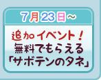 追加イベント！無料でもらえる「サボテンのタネ」