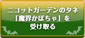 お庭でハロウィン♪かぼちゃのタネも無料プレゼント♪