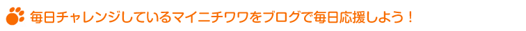 毎日チャレンジしているマイニチワワをブログで毎日応援しよう！