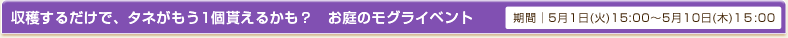 期間│5月1日(火)15:00～5月10日(木)15:00