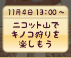 ニコット山でキノコ狩りを楽しもう