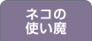 かぼちゃが 再入荷