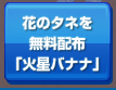 ニコットガーデンイベント