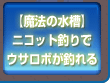 ニコット釣りイベント