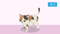 ニコ三毛猫（白/茶/黒）
