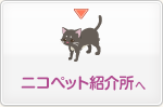ニコペット紹介所へ