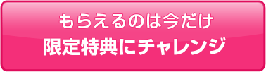 もらえるのは今だけ 限定特典にチャレンジ